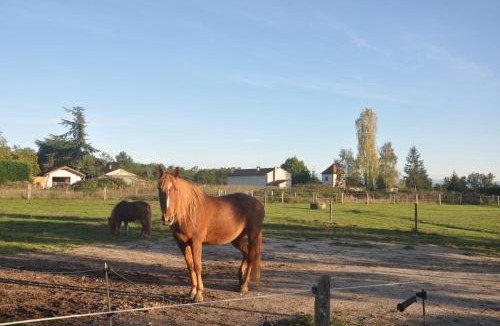 Poncins Resort | Nid Douillet