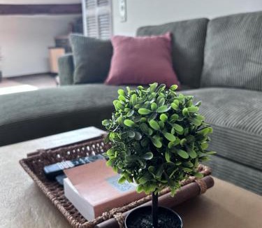 Saint-Maximin-la-Sainte-Baume Apartment | Nid chaleureux en Provence