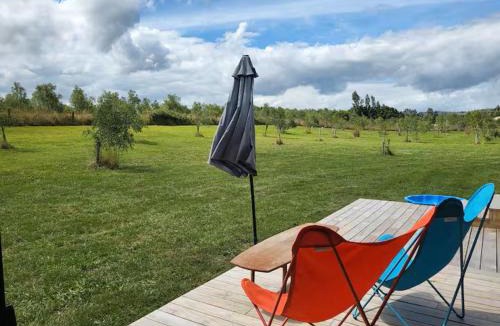 Gladstone House | Night Sky Magic in Olive Grove