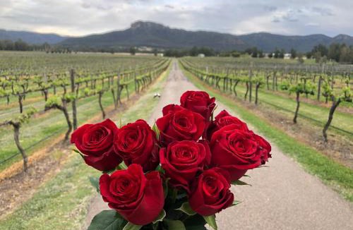 Broke Resort | Nightingale Villas