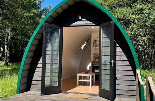 Holworth Cabin | Nightjar Cabin at Cloudshill Glade