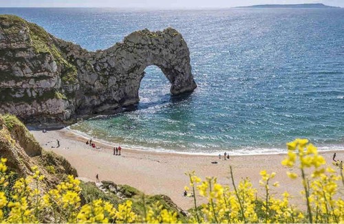 Holworth House | Nightjar Cabin at Cloudshill Glade
