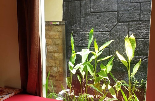 Kalipuro House | Nita's Homestay Banyuwangi