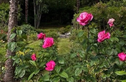 Riberac Villa | No 1 Place Jules Brunet I Private estate in the centre of a french market town
