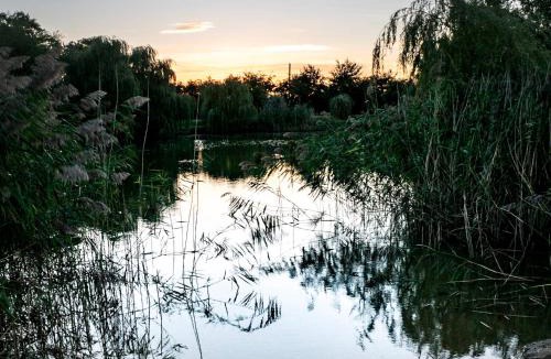 Old Leake House | No 6 Lake View Lodges - 28283