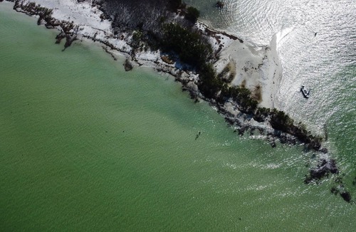 Palm Harbor House | No Longer for Res