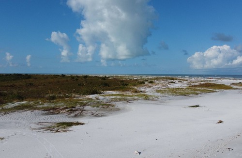 Palm Harbor House | No Longer for Res