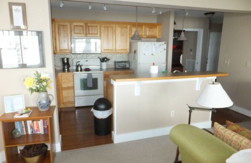 Banner Elk Condo | No steps! Spring-Summer dates available!