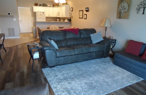 Camdenton Condo | No Steps/walk in/ 2BD/2BA w/12x30 boat slip Great View!