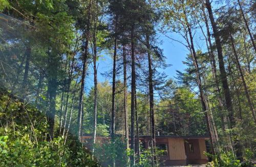 Harcourt Resort | Nomi Resort