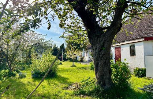 Nyord Bed & Breakfast | Noorbohandelens Bed & Breakfast - Nyord