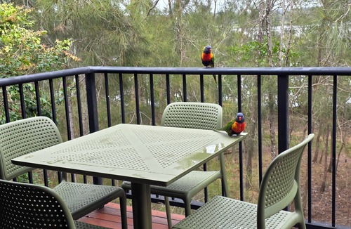 Tewantin Apartment | Noosa Holiday Accommodation.