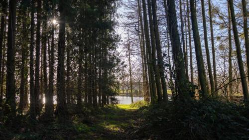 Great Witley House | Nor67 Estate