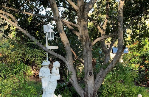 Tanunda Cottage | Norma's Place Self Contained Cottage