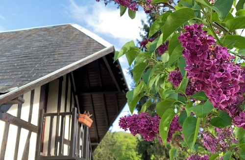 Beaumont-le-Roger House | Normandy house with large garden near Paris