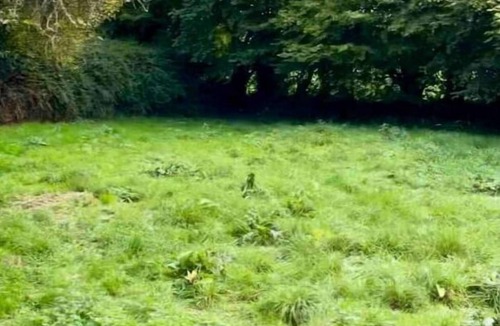 Gonneville-sur-Mer House | Normandy house - 5 min from Houlgate and the beach