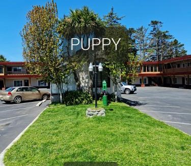 Crescent City Hotel | North Coast Inn