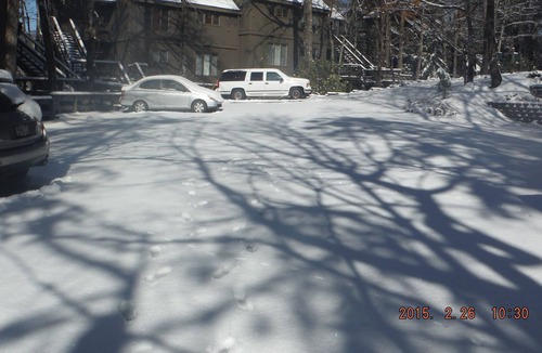 Big Canoe Condo | North Georgia Mountain Area