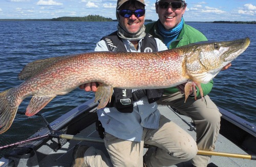 Ilford Resort | North Haven Resort is Canada's Premier Five-Star Trophy Fishing Fly-In Resort.