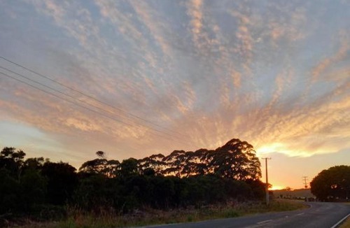 Pukenui Bed & Breakfast | North Hideaway