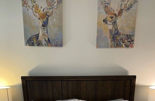 Brentwood Apartment | North Lamar