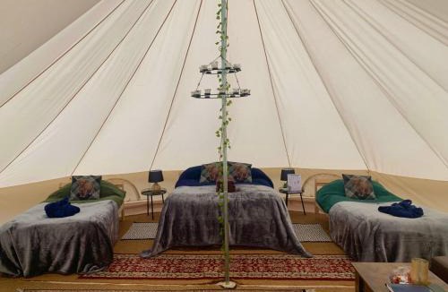Lanark Resort | North Lodge Glamping