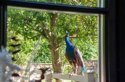 Chathill Cottage | Northern Hideaways, Ellingham