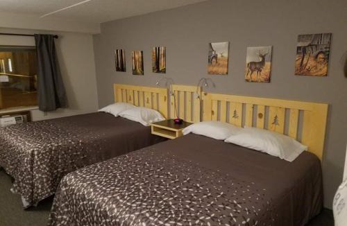 Park Falls Hotel | Northern Lights Inn