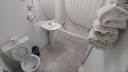 Sault Ste. Marie Hotel | Northlander Motel