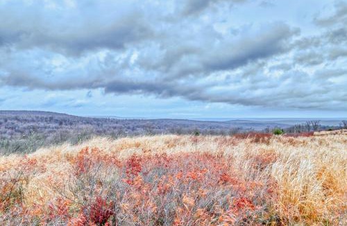 Tannersville House | Northridge 482