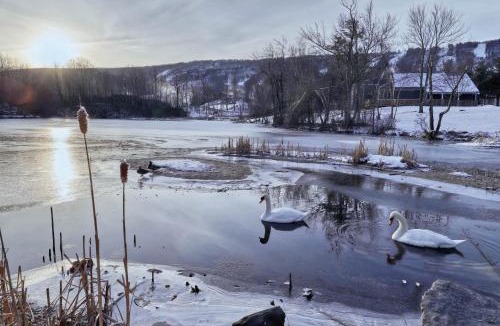 Tannersville House | Northridge 482