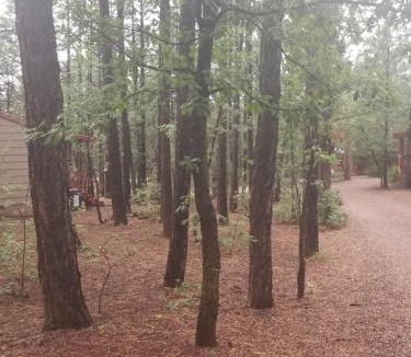 Pinetop-Lakeside Cabin | Northwoods Resort Cabins