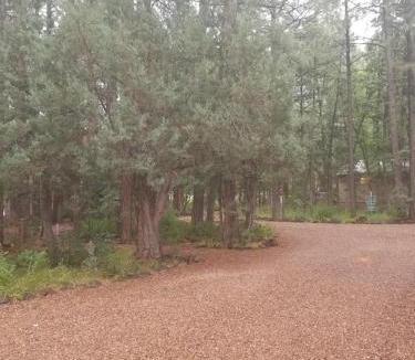 Pinetop-Lakeside Cabin | Northwoods Resort Cabins