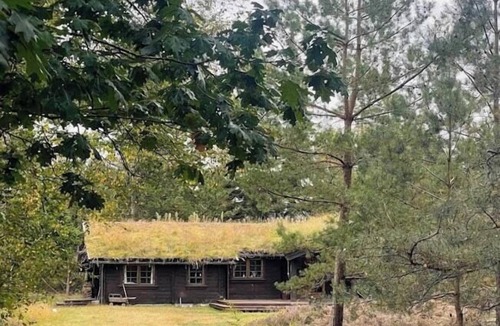 Rrvig House | Norwegian log cabin among heather and pine trees