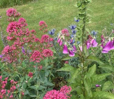 Jægerspris House | Nostalgic 1960S Idyll