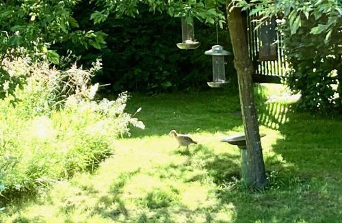 Jægerspris House | Nostalgic 1960S Idyll