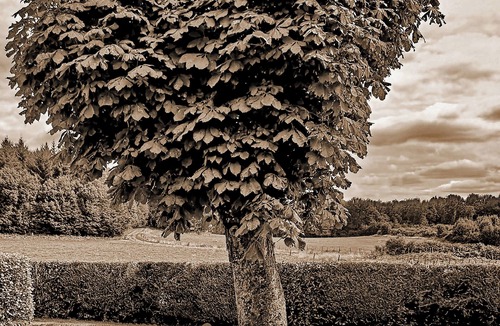 Sardent House | Not for rent on this site