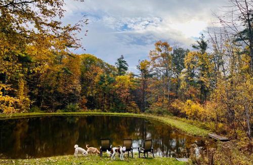 Canaan House | Not-so-tiny, Tranquil, Pond front Bungalow