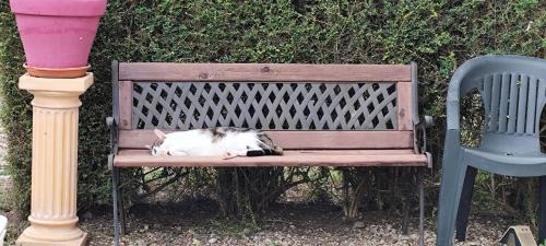 Les Bordes Bed & Breakfast | Notre Doux Logis