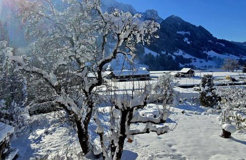 Rougemont Apartment | Nouveau à Rougemont - Gstaad Appartement dans Chalet 1830