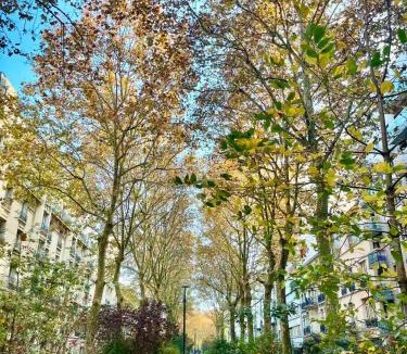 Parc-de-Montsouris Apartment | Nouveau Appartement 2p parisien