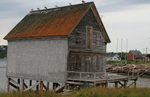 Freeport House | Nova Scotia Island getaway home: private, comfy, spectacular ocean views
