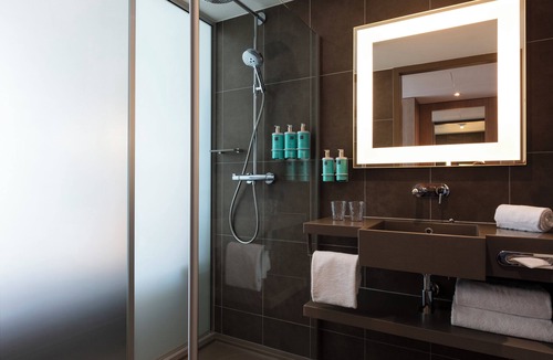 Saint-Denis Hotel | Novotel Paris Stade De France Basilique