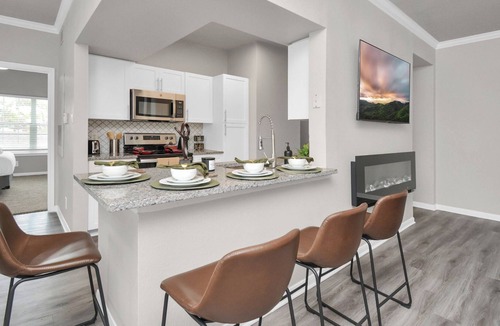 Central Southwest Apartment | Nude Passion -2 Bdrm / 2Bath Close to NRG & Med Center