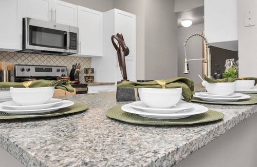 Central Southwest Apartment | Nude Passion -2 Bdrm / 2Bath Close to NRG & Med Center