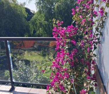 Saint-Martin-Boulogne Bed & Breakfast | Nuitée d'Opale