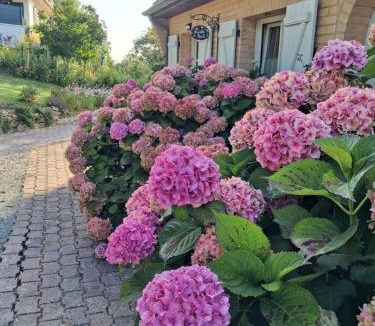 Saint-Martin-Boulogne Bed & Breakfast | Nuitée d'Opale