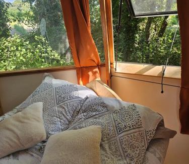 Mondragon Other | nuit étoilée