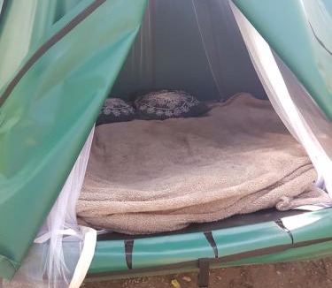 Mondragon Other | nuit étoilée