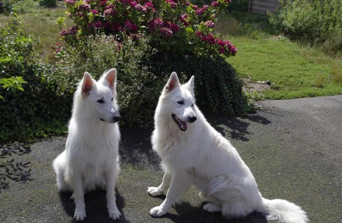 Landas Bed & Breakfast | Nuit de la passion